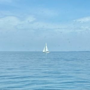 Meet your Posher, Macey